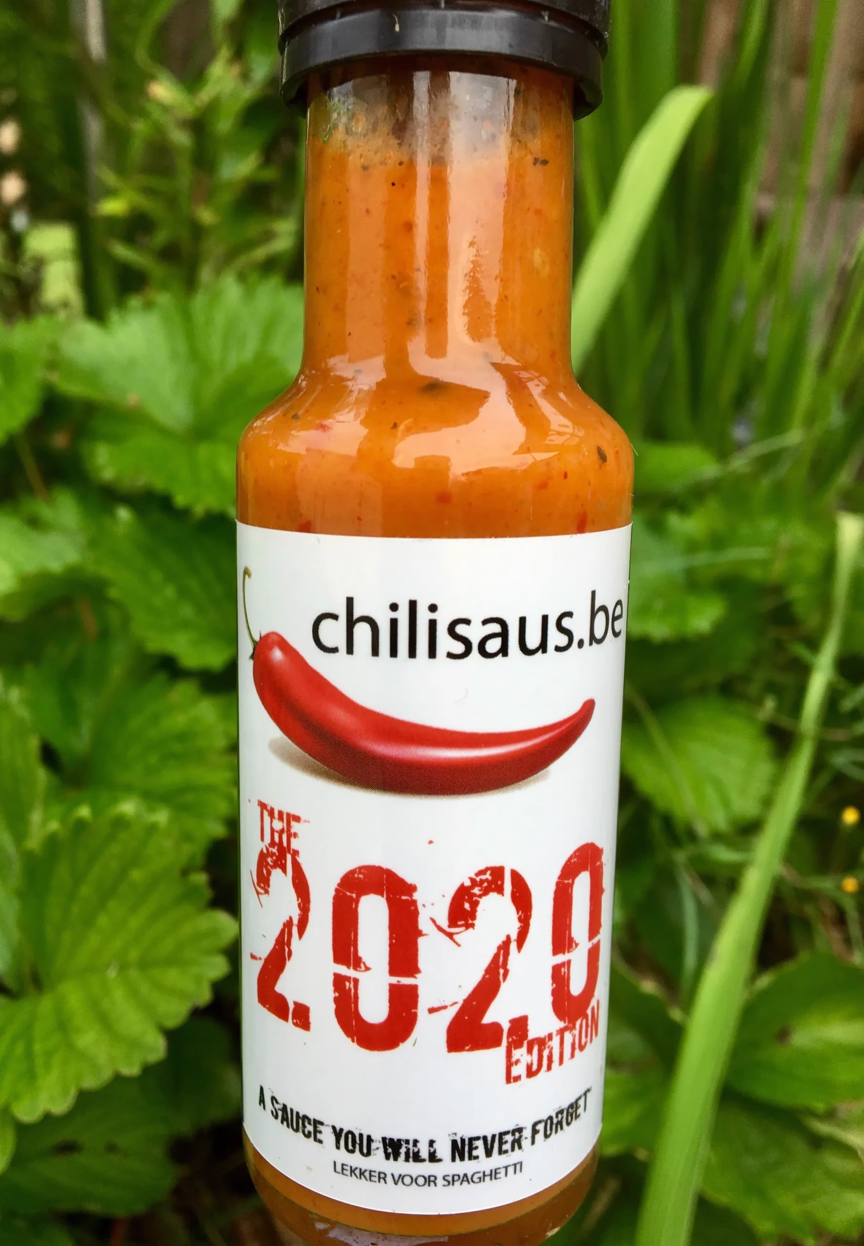 The 2020 Edition - Garlic Italian