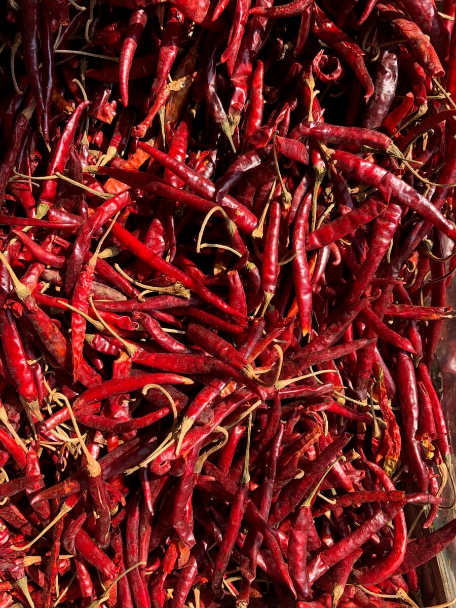 Chile de Árbol pepper - hot from Mexico
