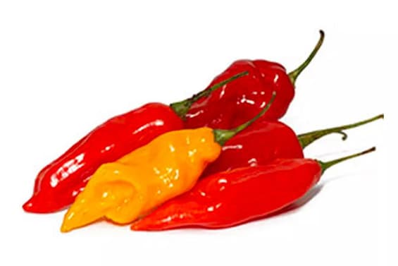 Peruvian Limo hero image