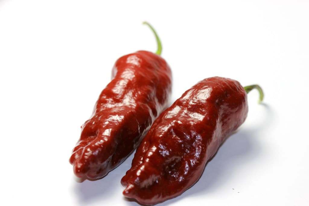 Chocolate Bhutla pepper - extreme from USA (hybrid)