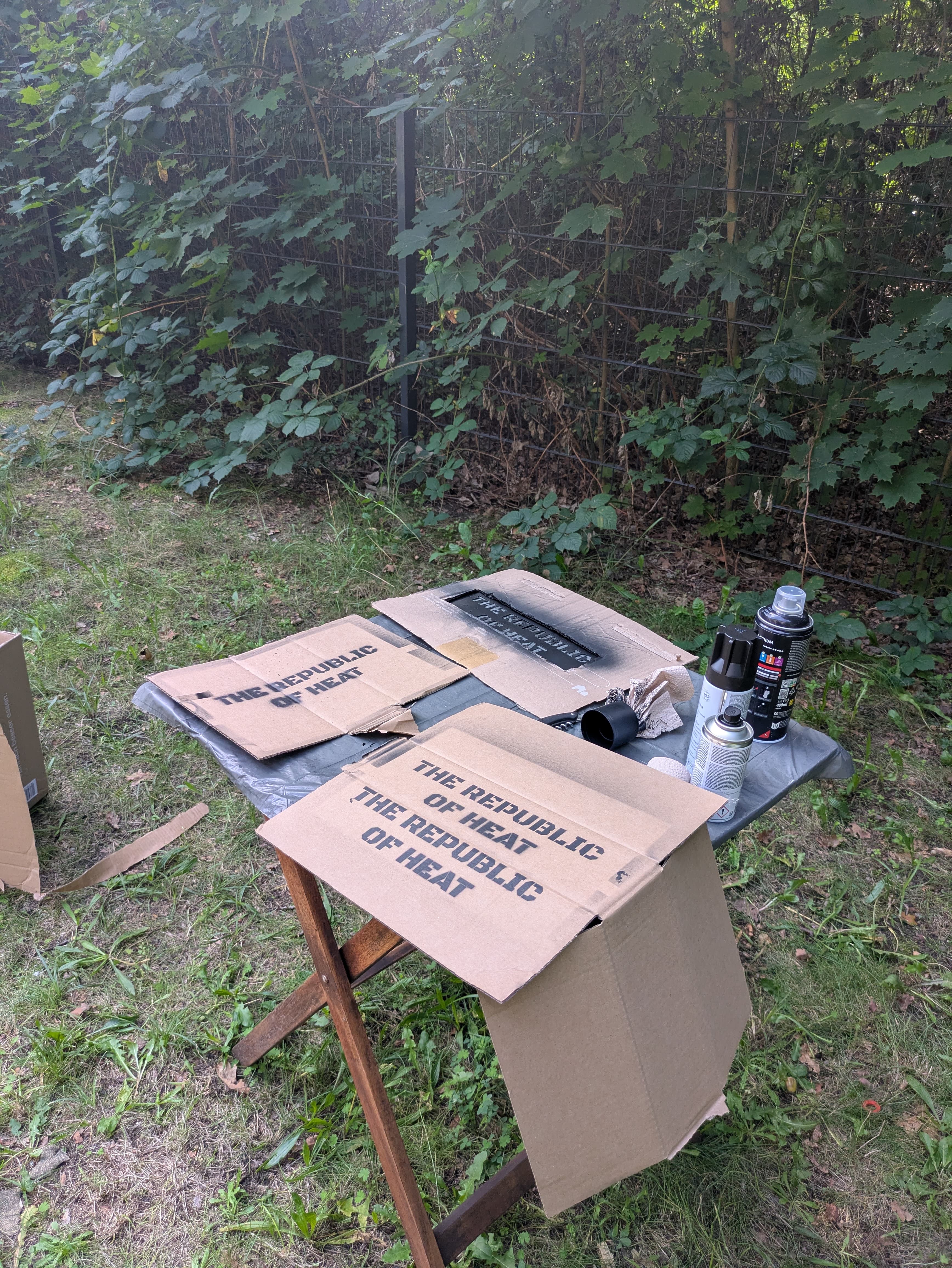 Test flight of sauces with wings