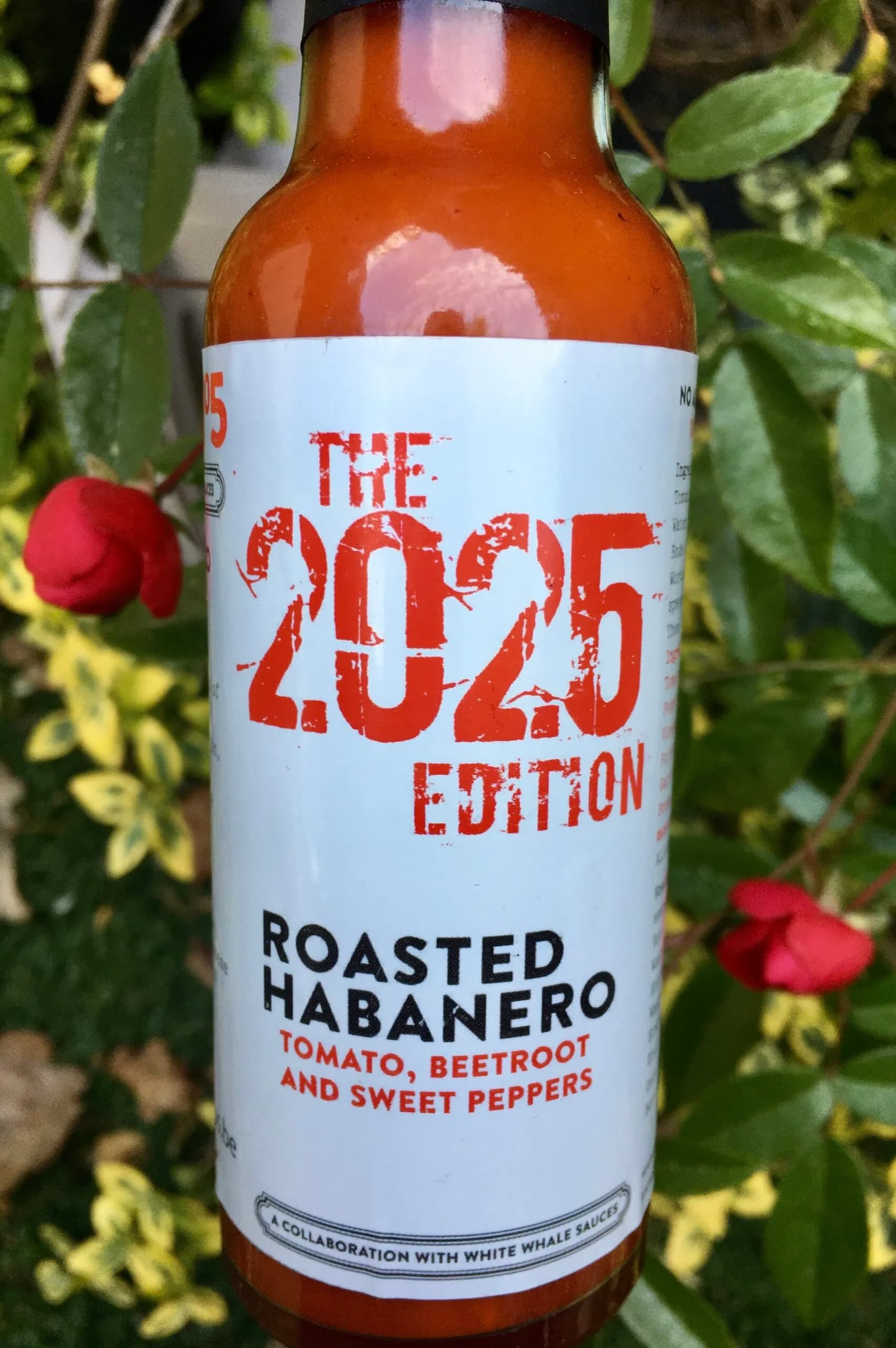 The 2025 Edition – ROASTED HABANERO